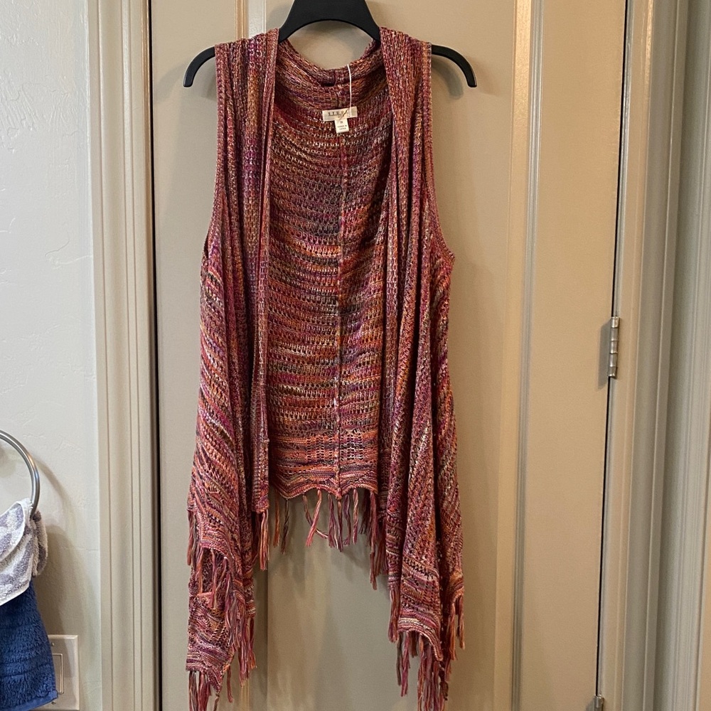 Multicolor Fringe Knit Vest